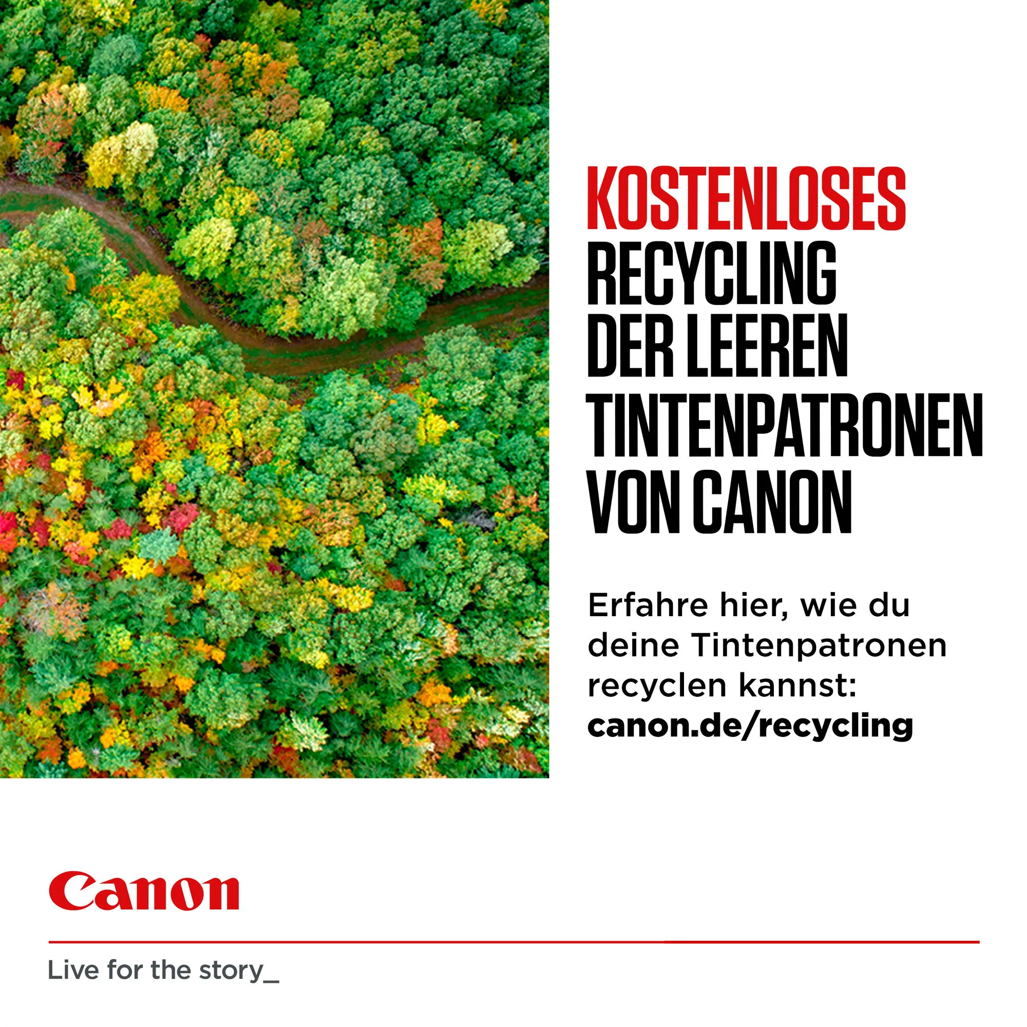 Canon CLI-36 CL Twin Pack – Bild 4