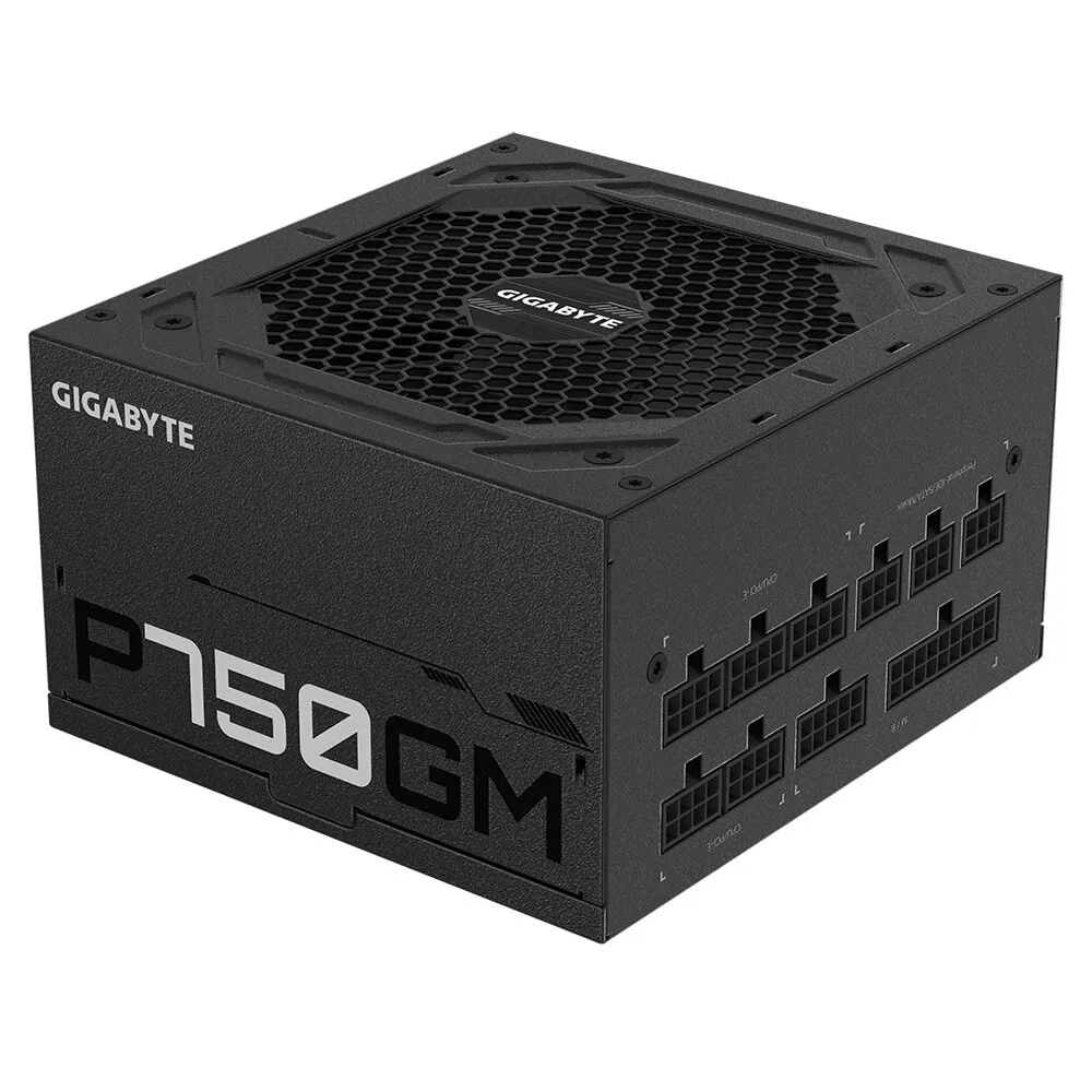 GIGABYTE P750GM Netzteil 750 W 20+4 pin ATX ATX Schwarz – Bild 3