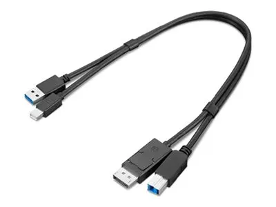 Lenovo  mDP + USB-A  zu DP + USB-B 3.0 Dual Head Kabel