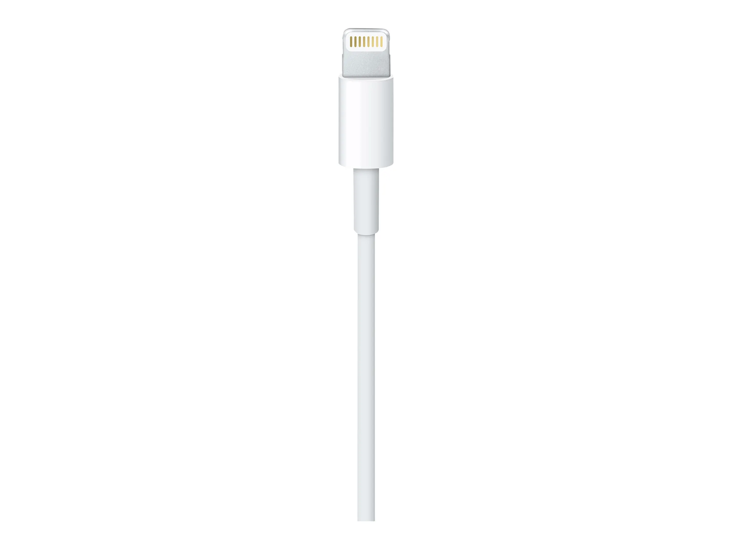 Apple Lightning auf USB Kabel (2m)