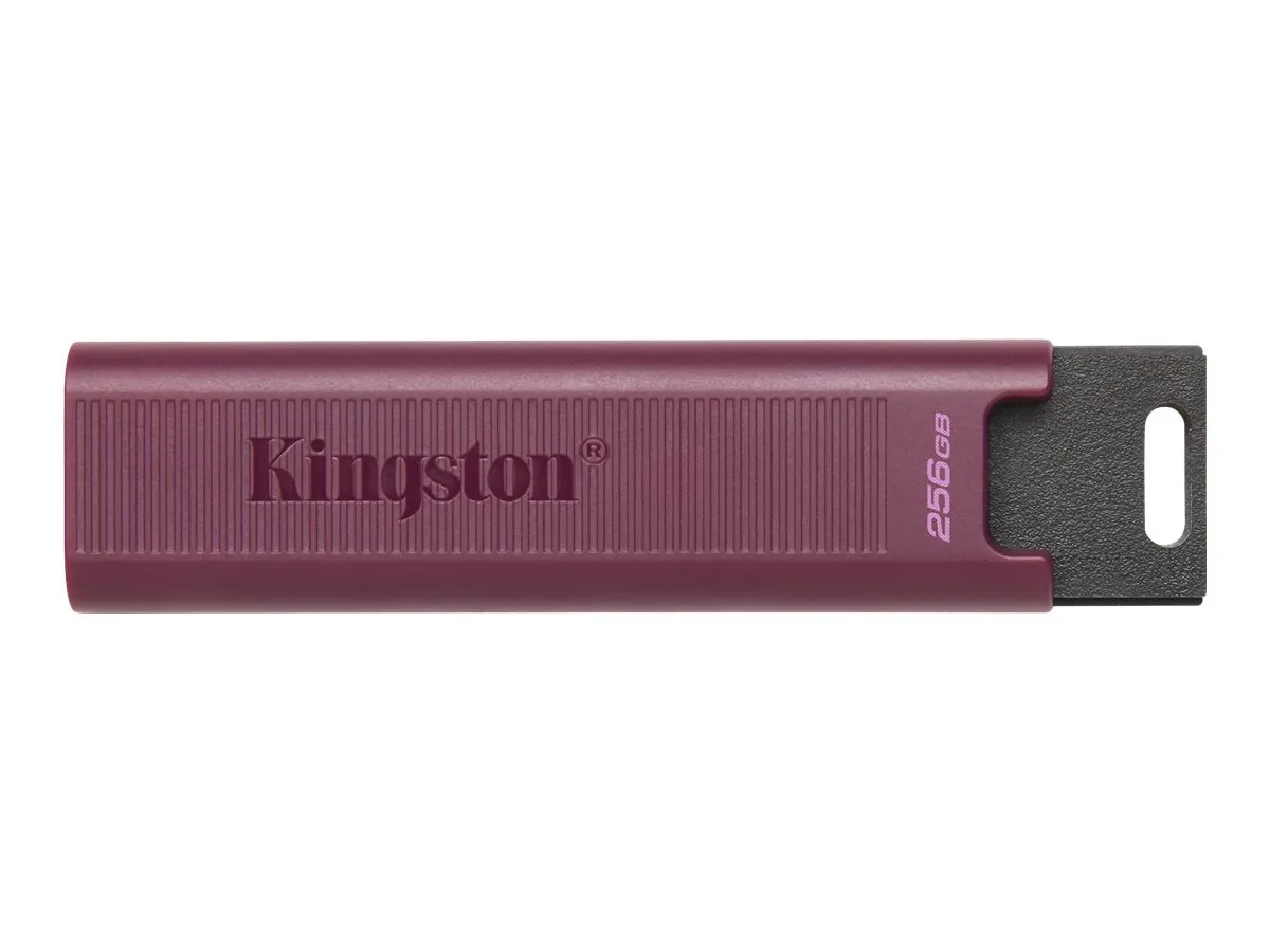 USB-Stick   1TB Kingston DT-Maxa USB 3.2 retail