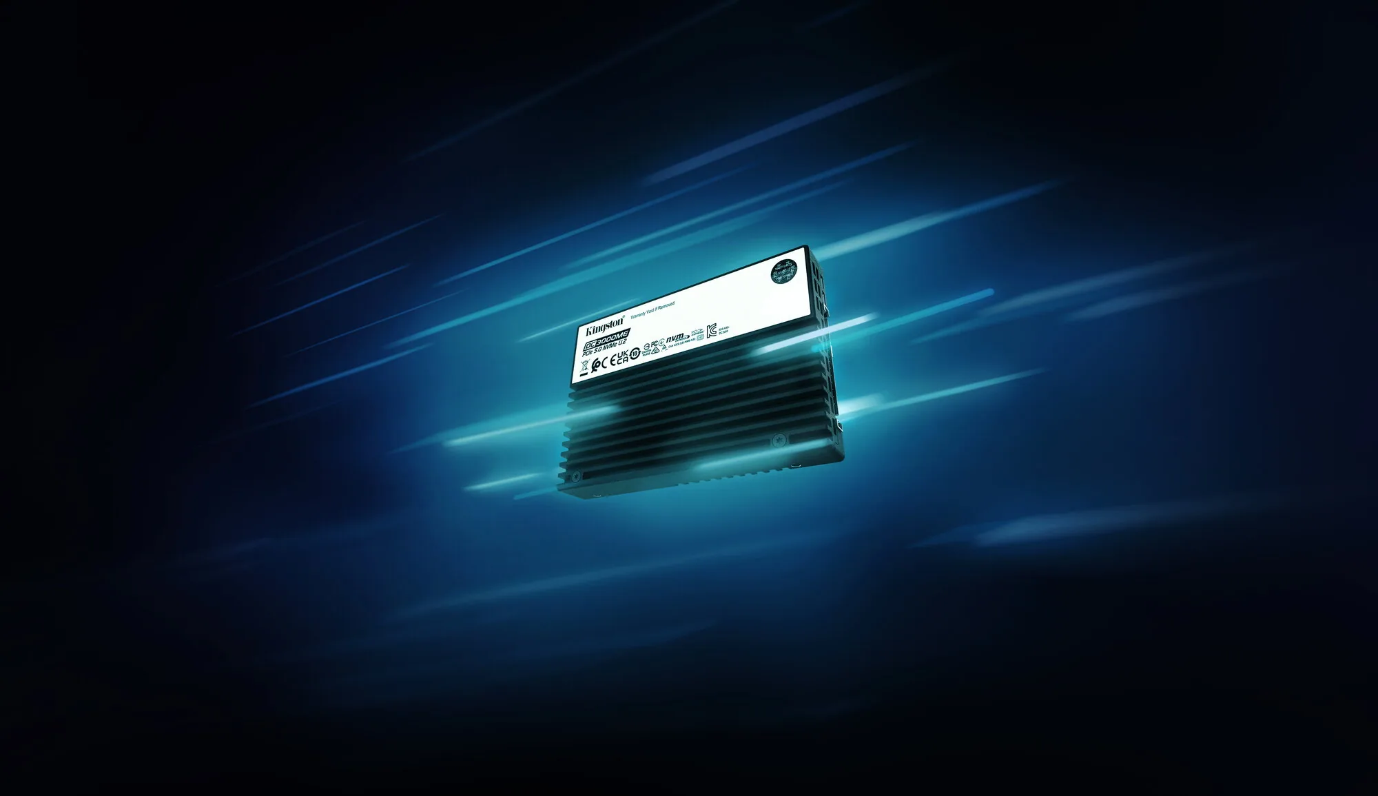 Kingston Technology 3,84TB DC3000ME U.2 PCIe 5.0 NVMe TCG Opal Enterprise SSD – Bild 4