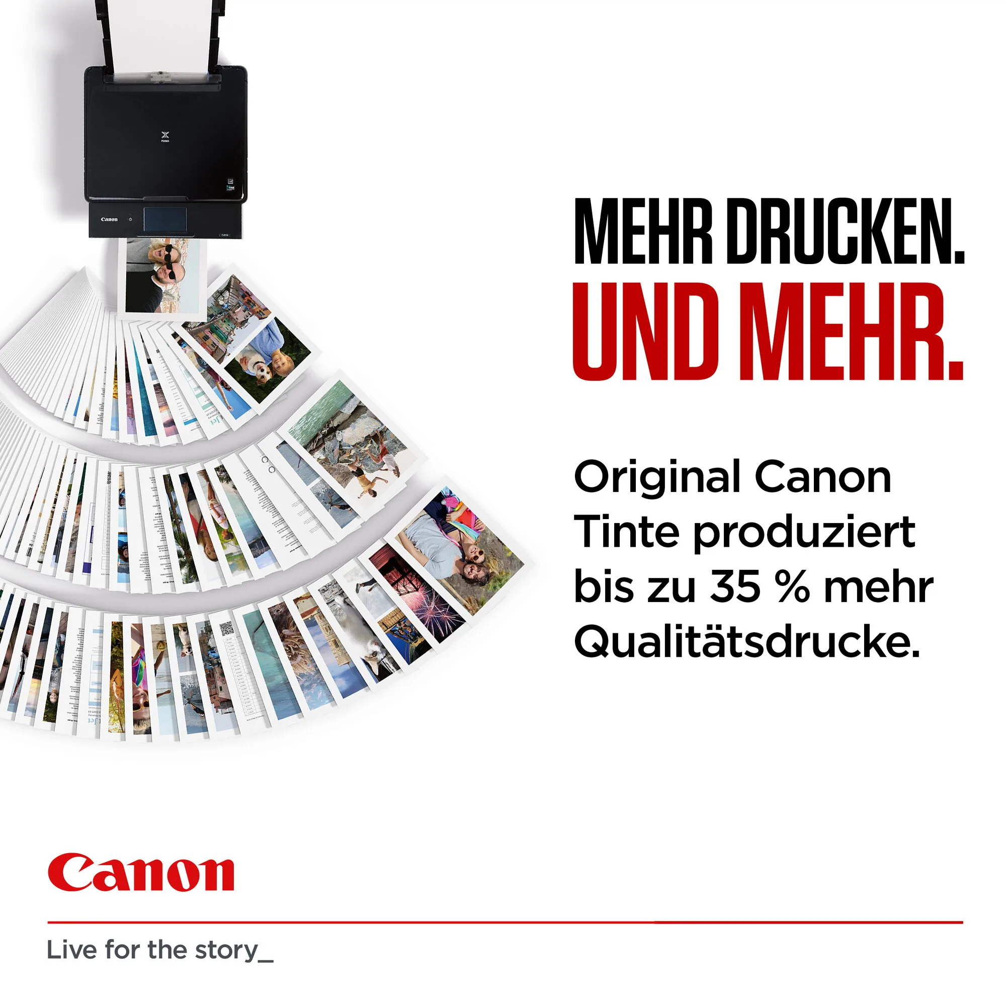 Canon PG-560XL x2/CL-561XL Photo Value Pack - Plus – Bild 3