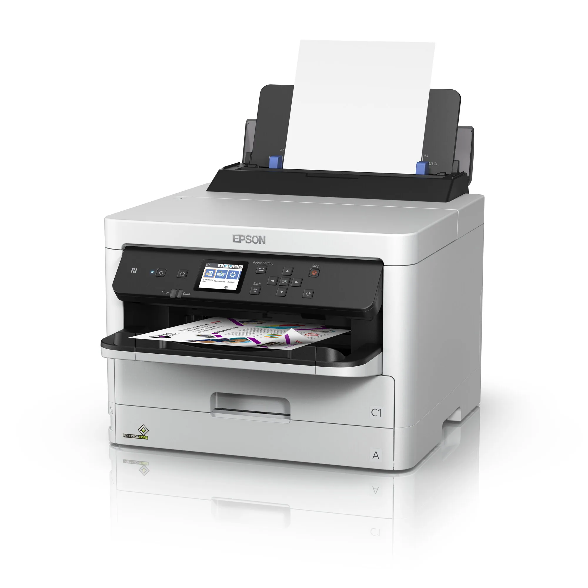 Epson DURABrite Pro – Bild 2