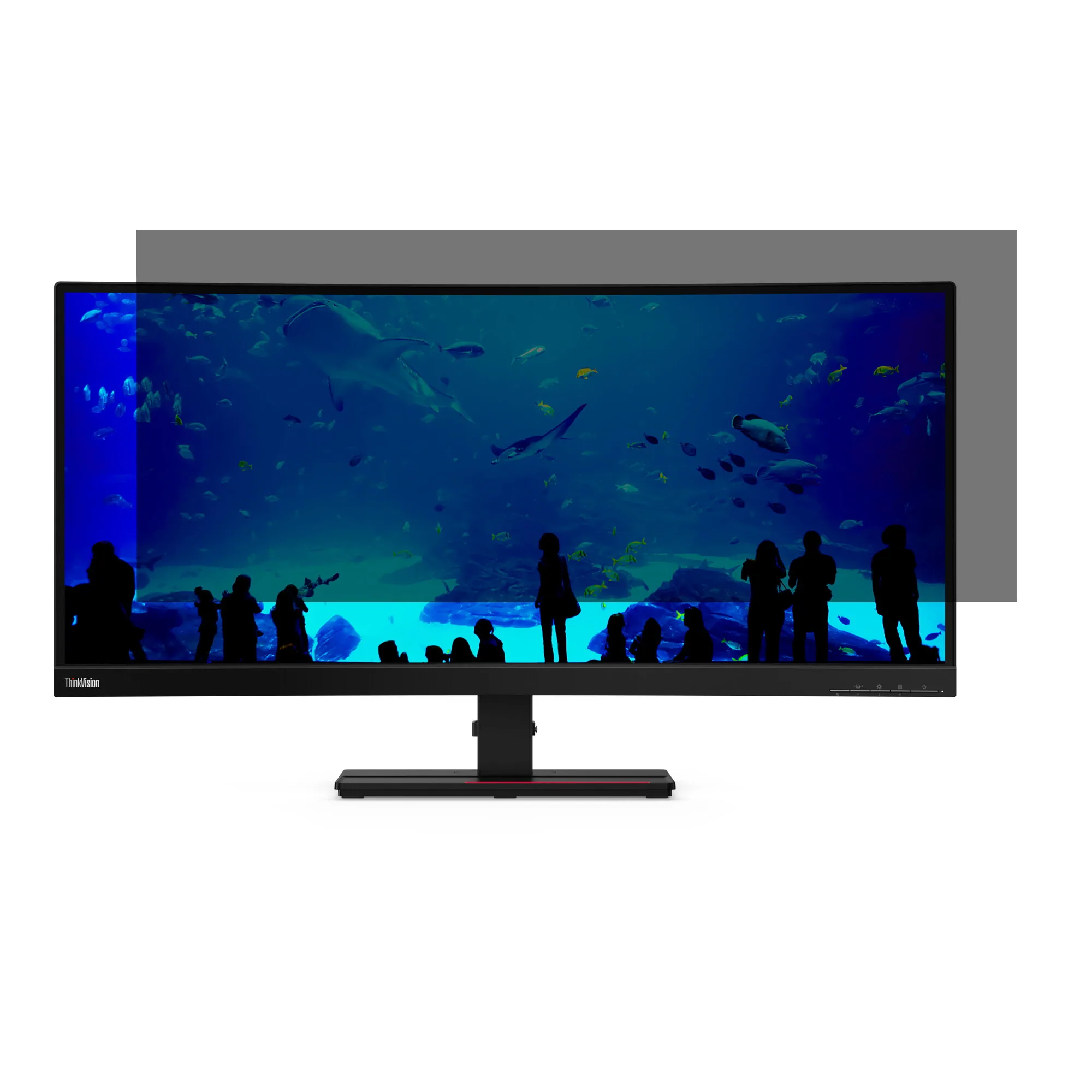 Lenovo Kensington Privacy Screen for ThinkVision T34W-20/30/40 (21:9) 86,4 cm (34") Monitor Rahmenloser – Bild 3