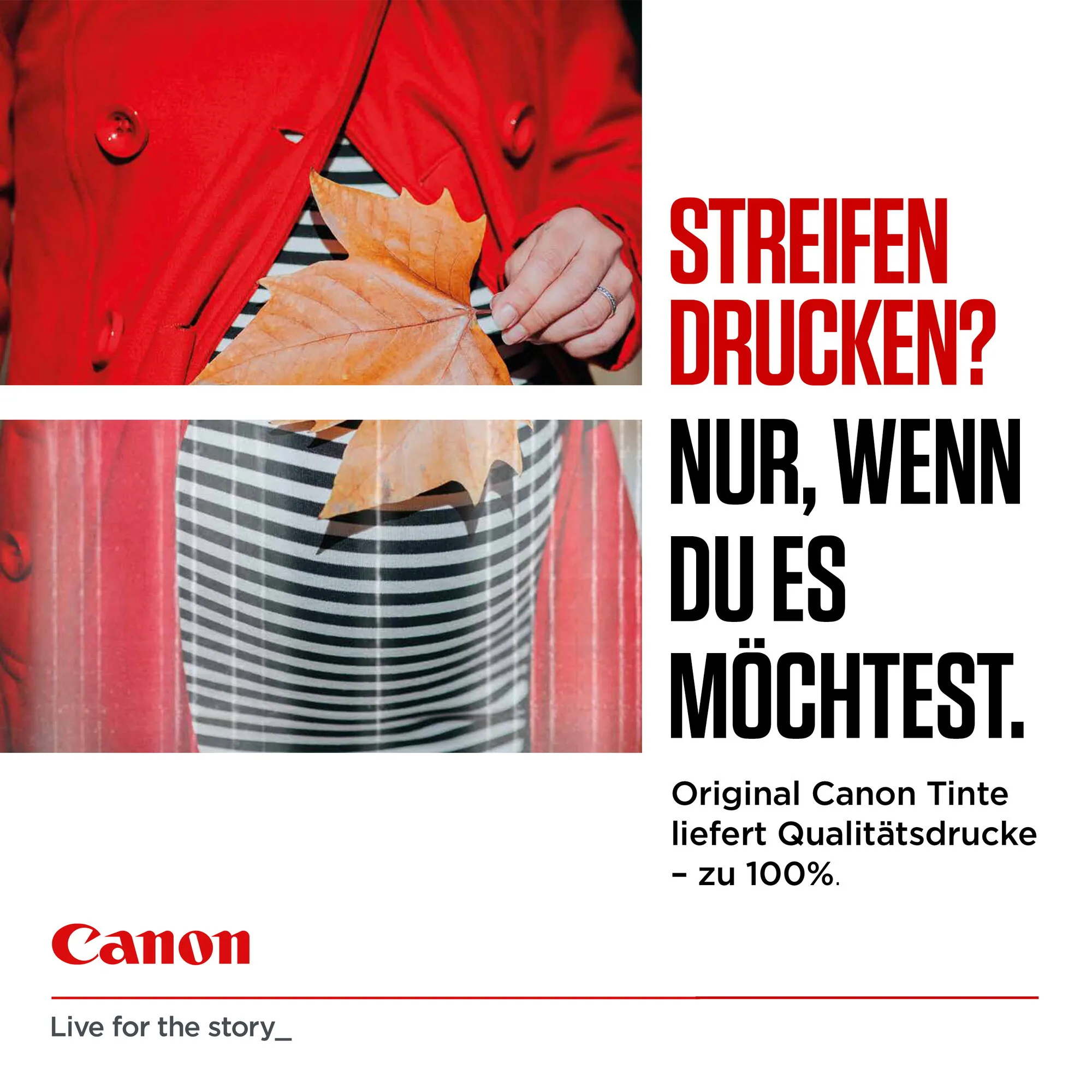 Canon CLI-581 C/M/Y/BK Multipack – Bild 3