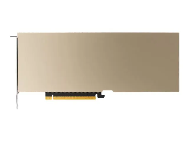 PNY NVIDIA A10 Module 24 GB GDDR6