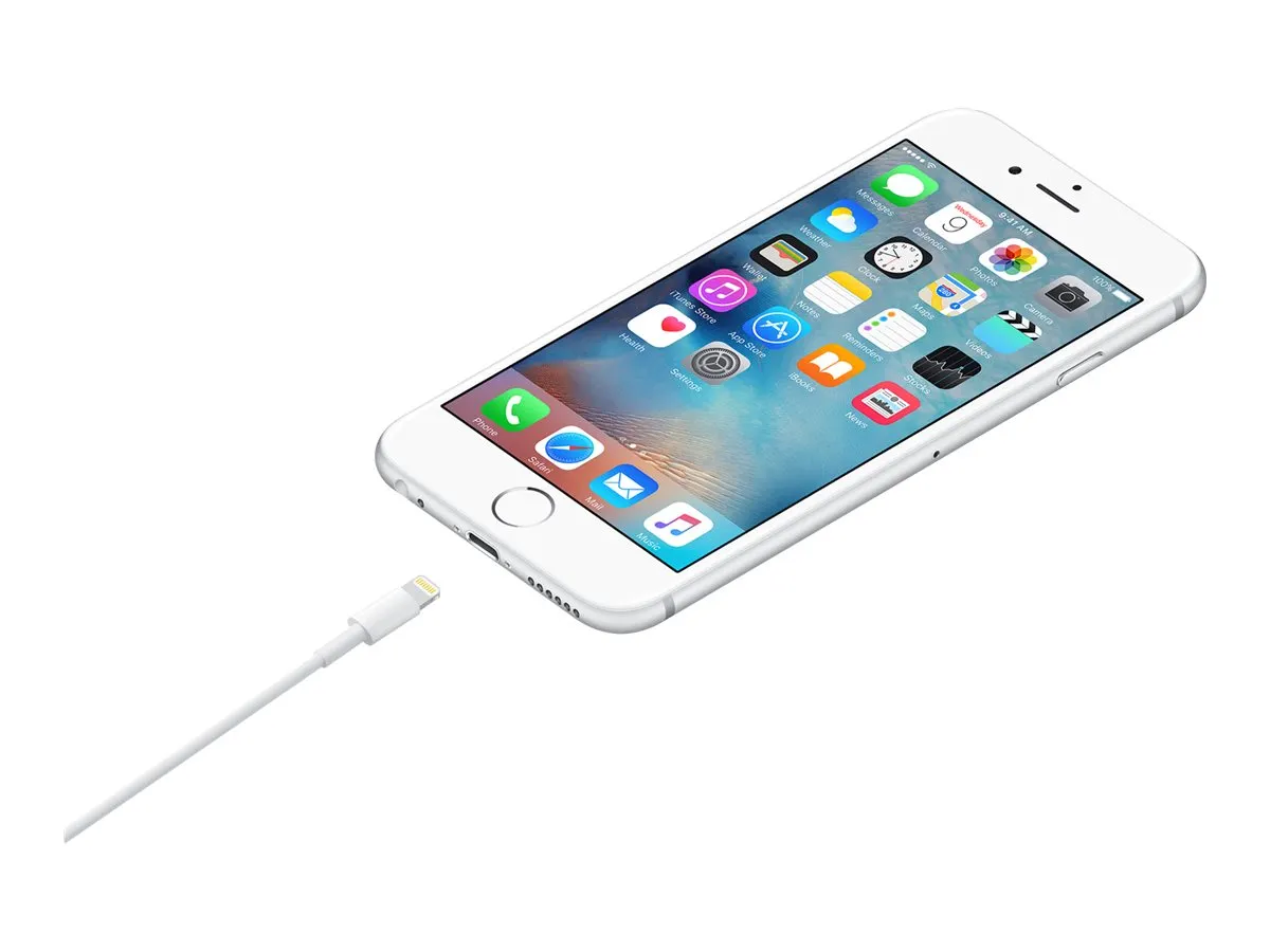 Apple Lightning auf USB Kabel (1m)