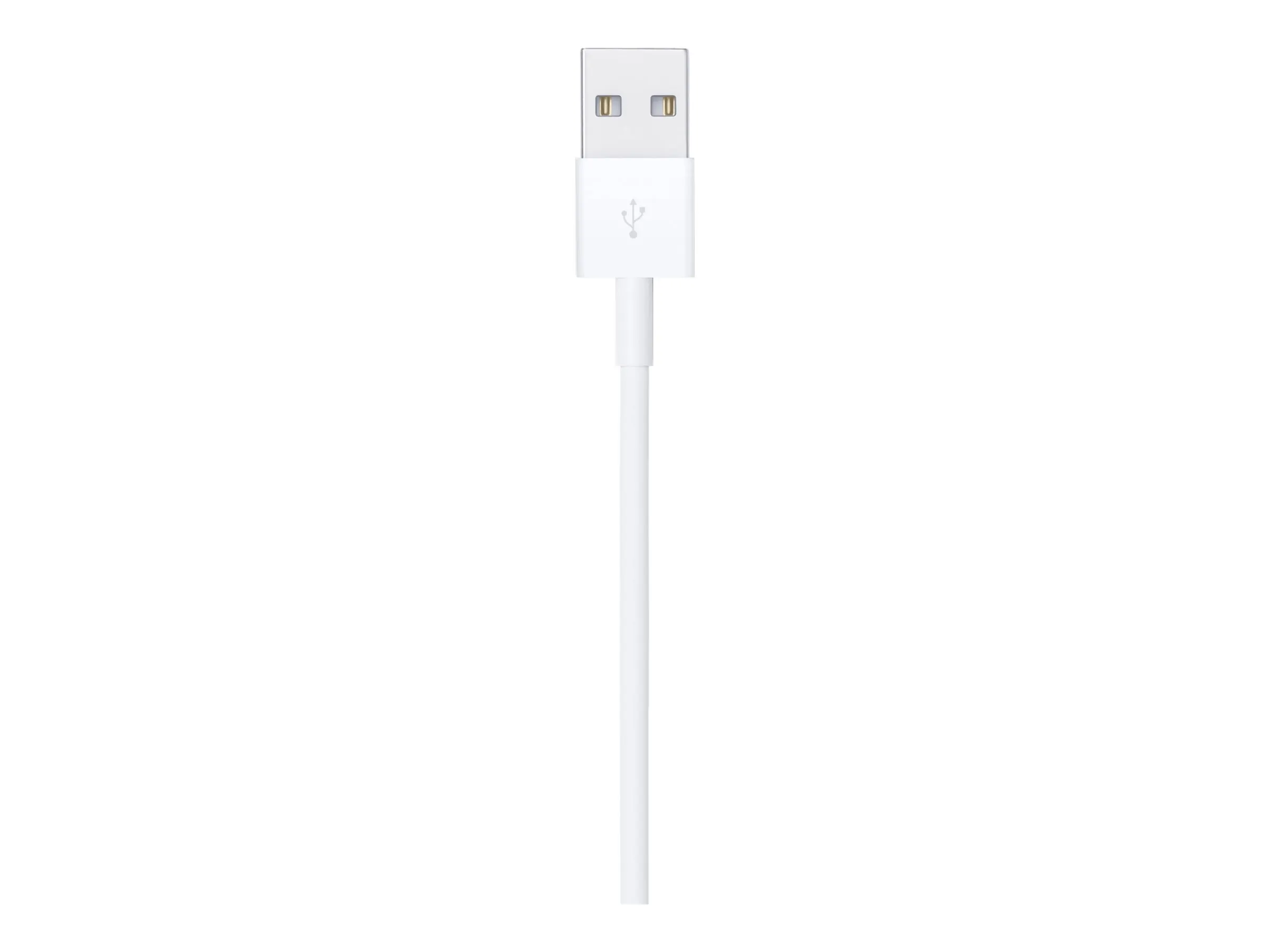Apple Lightning auf USB Kabel (1m)