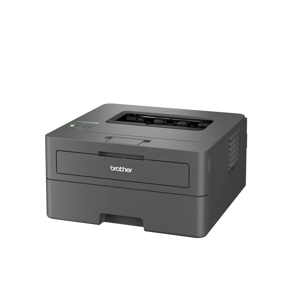 Brother HL-L2400DW Laser-Drucker 1200 x 1200 DPI A4 WLAN – Bild 1