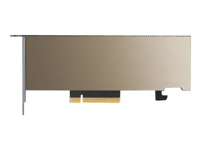 PNY NVIDIA A2 Module 16 GB GDDR6