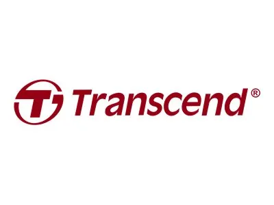 Transcend USB-Stick JetFlash 790C USB3.2 Schwarz