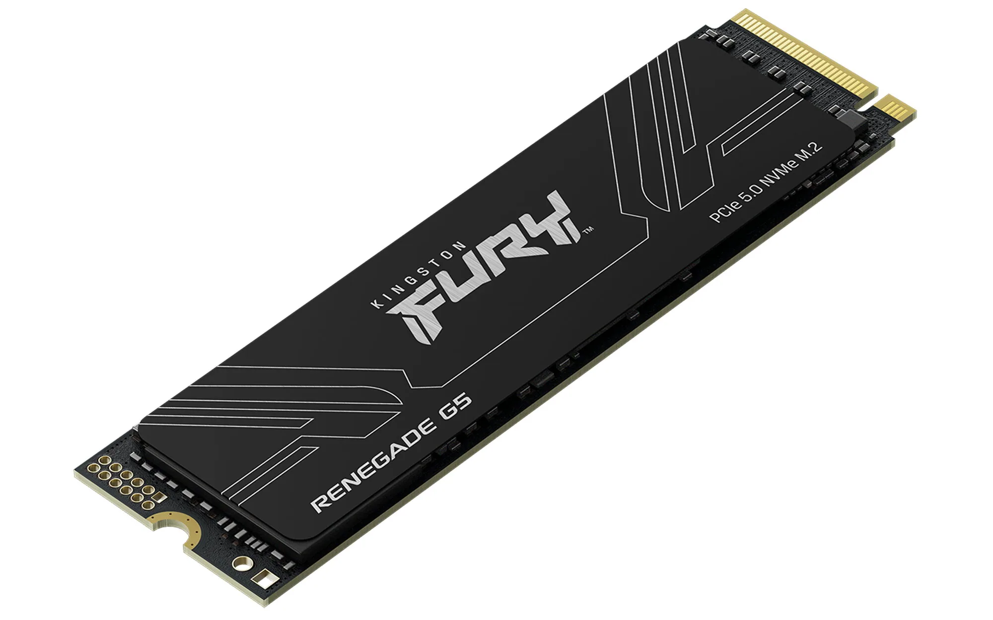 Kingston Technology 4T FURY RENEGADE G5 M.2 2280 NVMe SSD – Bild 3