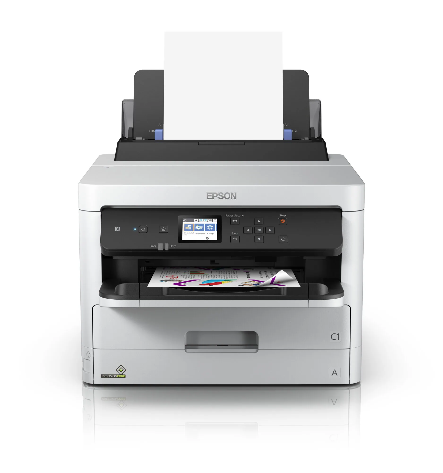 Epson DURABrite Pro – Bild 1