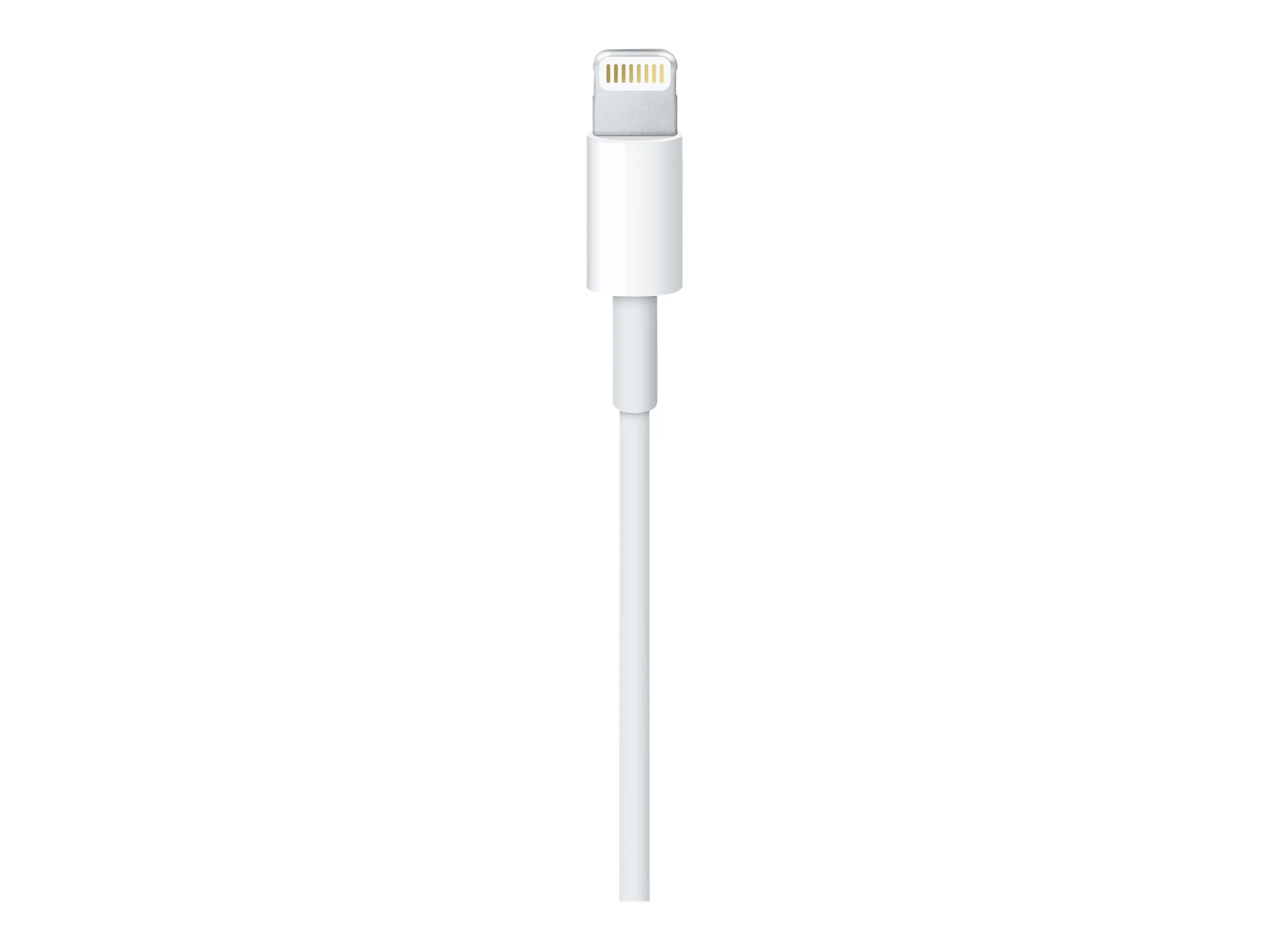 Apple Lightning auf USB Kabel (1m)