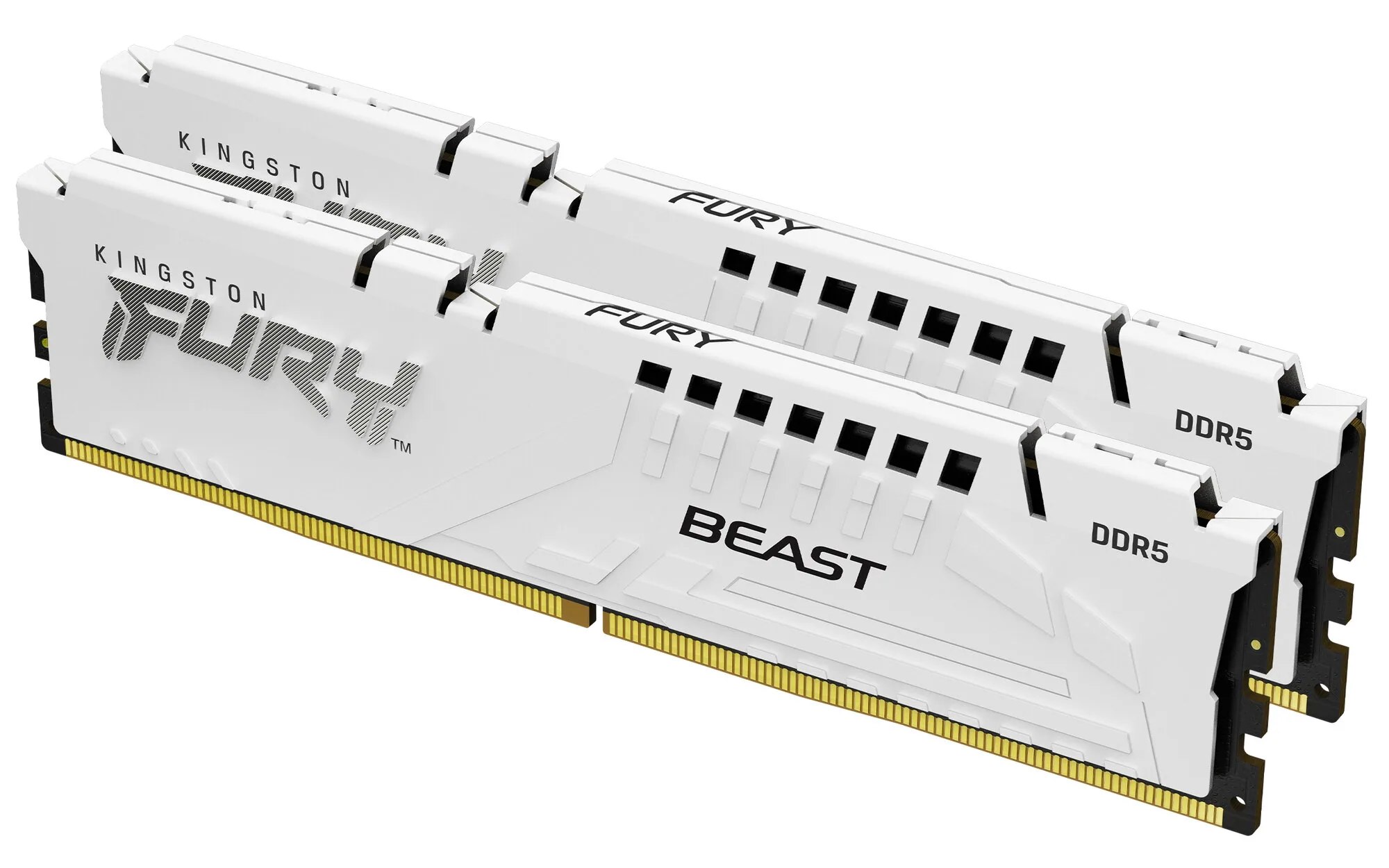 Kingston Technology FURY Beast 32GB 5600MT/s DDR5 CL36 DIMM (2er-Kit) White EXPO – Bild 1