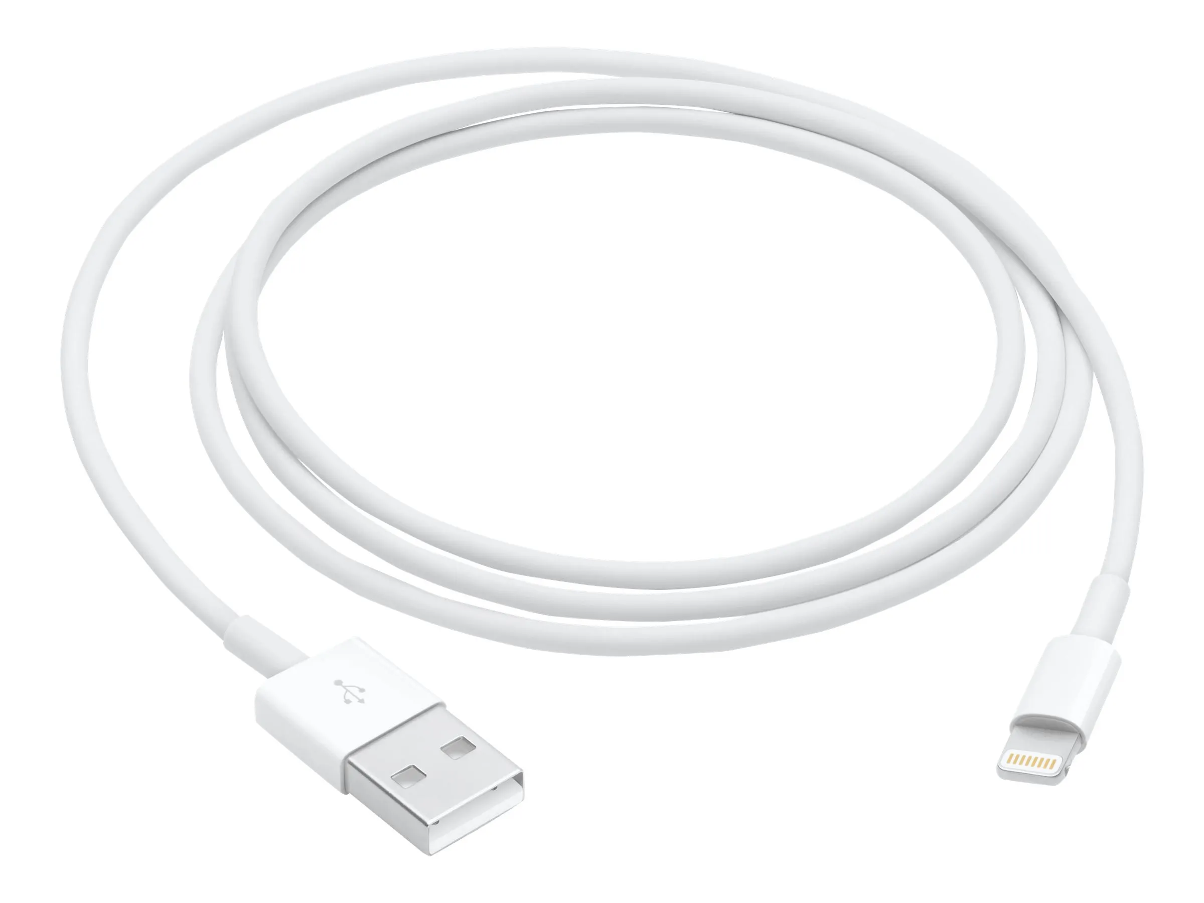 Apple Lightning auf USB Kabel (1m)