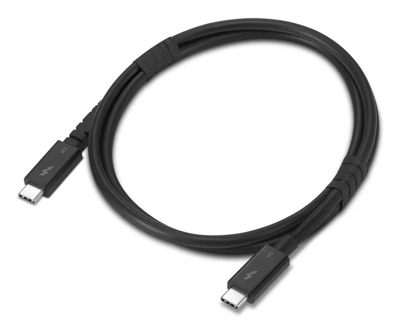 Lenovo 4X91U94411 Thunderbolt-Kabel 1 m 80 Gbit/s Schwarz – Bild 1