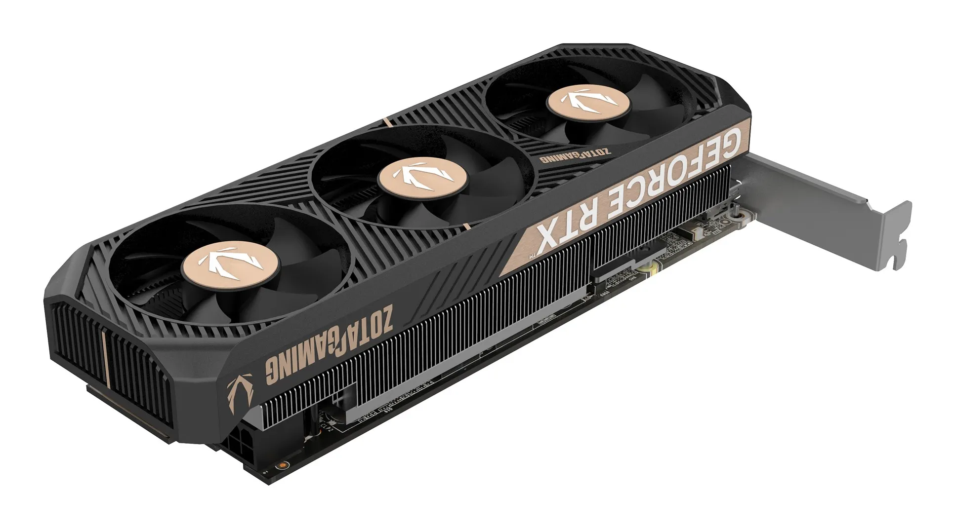 Zotac RTX 5050 LP 8 GB GDDR6 HDMI 3xDP