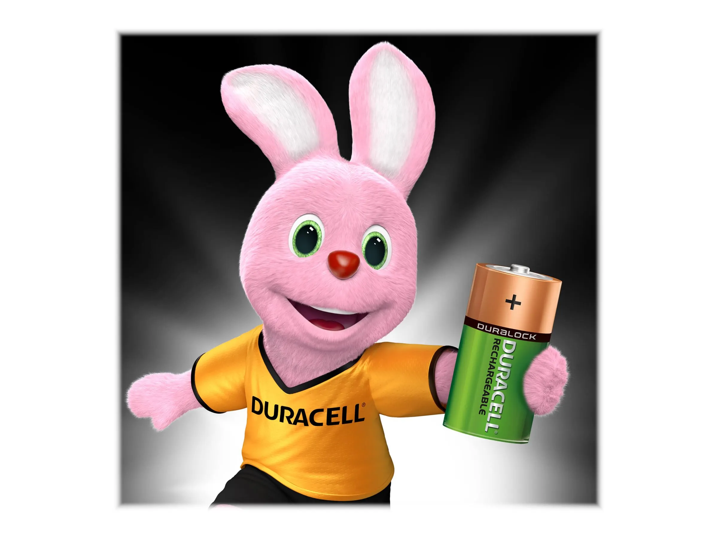 Duracell Akku Rechargeable   Baby   -   C       3000mAh 2St.