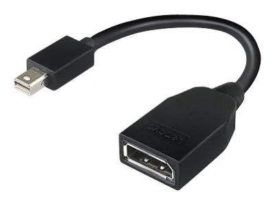 Lenovo 4X90L13971 DisplayPort-Kabel Mini DisplayPort Schwarz