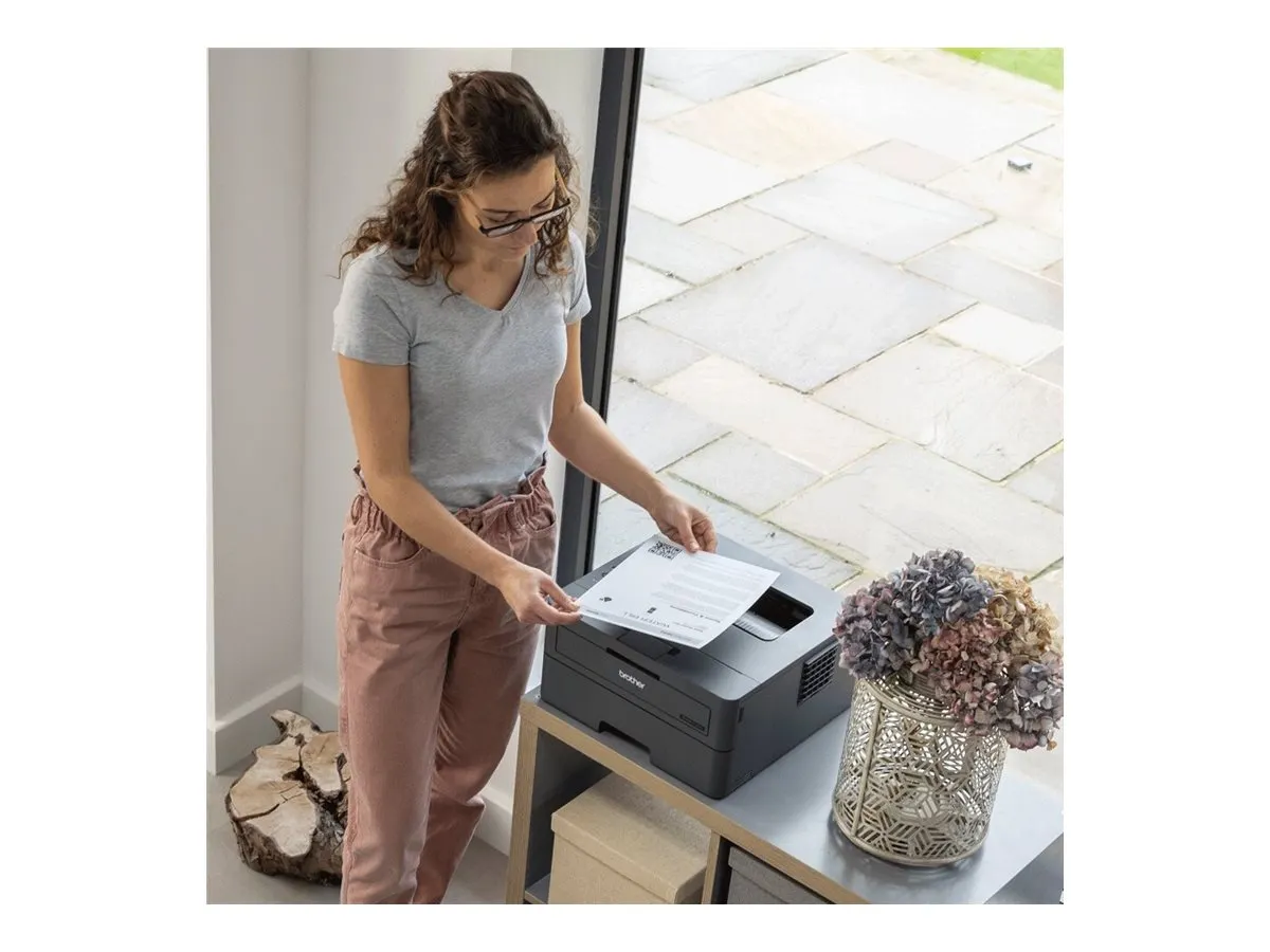 Brother HL-L2400DW    sw-Laser