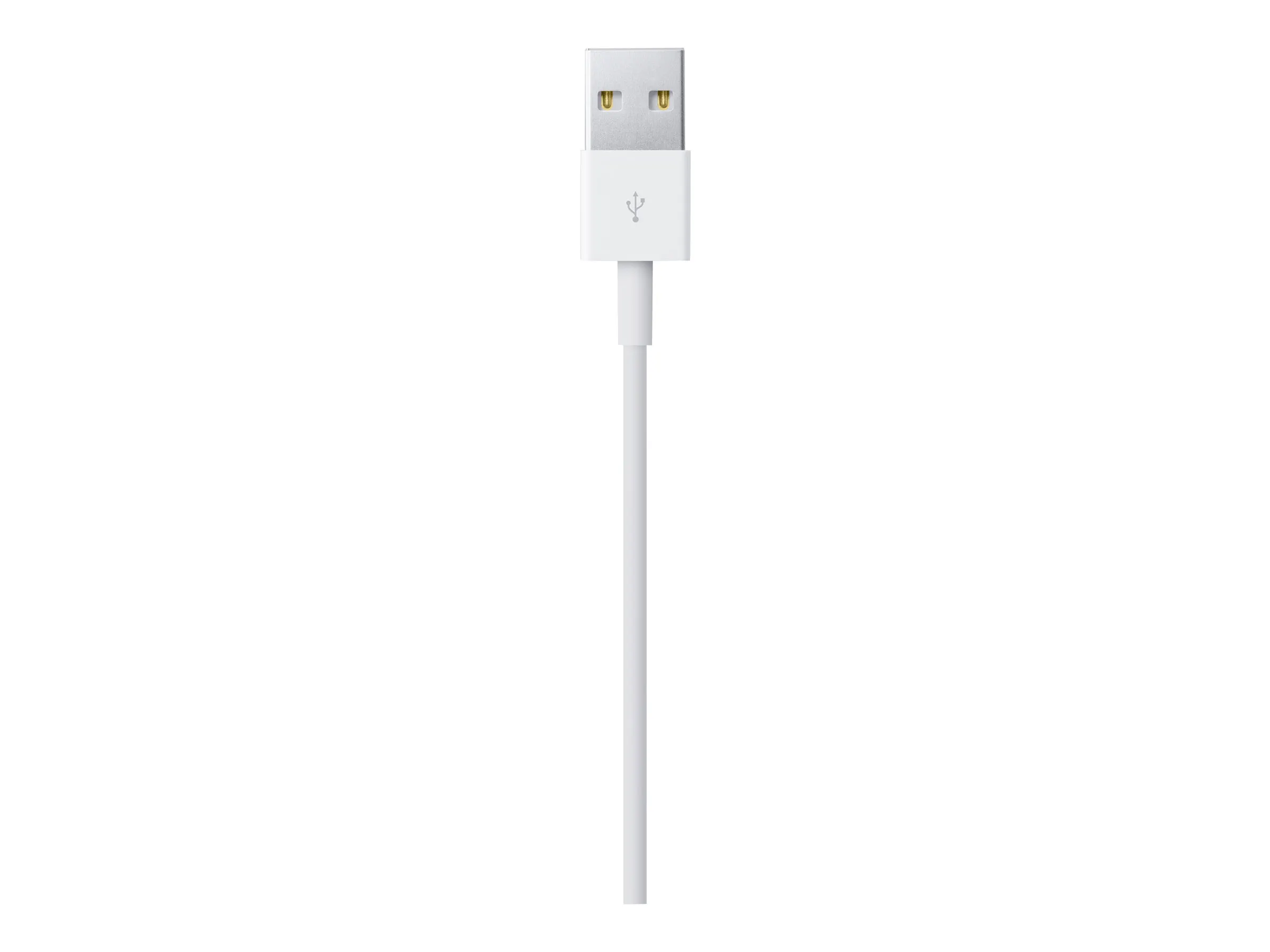 Apple Lightning auf USB Kabel (2m)