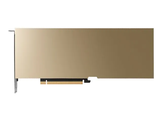 PNY NVIDIA L40S 48 GB GDDR6 4xDP