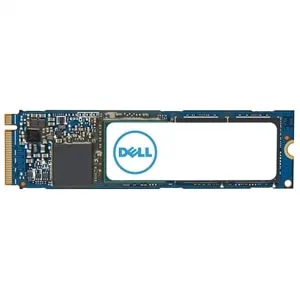 Dell AC037409 1 TB M.2 PCI Express 4.0 NVMe