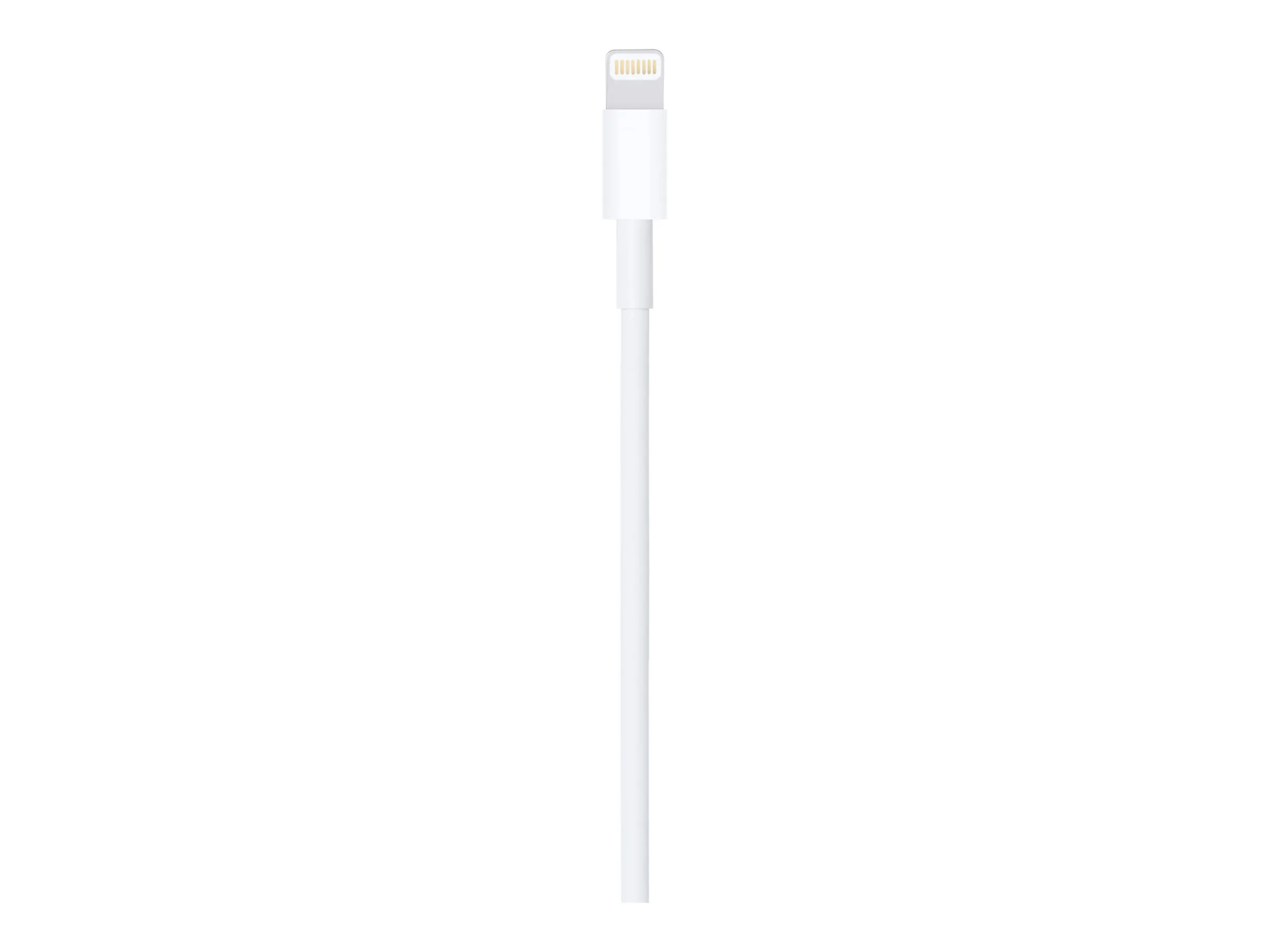 Apple Lightning auf USB Kabel (1m)