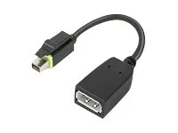 Lenovo 4X90Q93975 Videokabel-Adapter Mini DisplayPort DisplayPort Schwarz