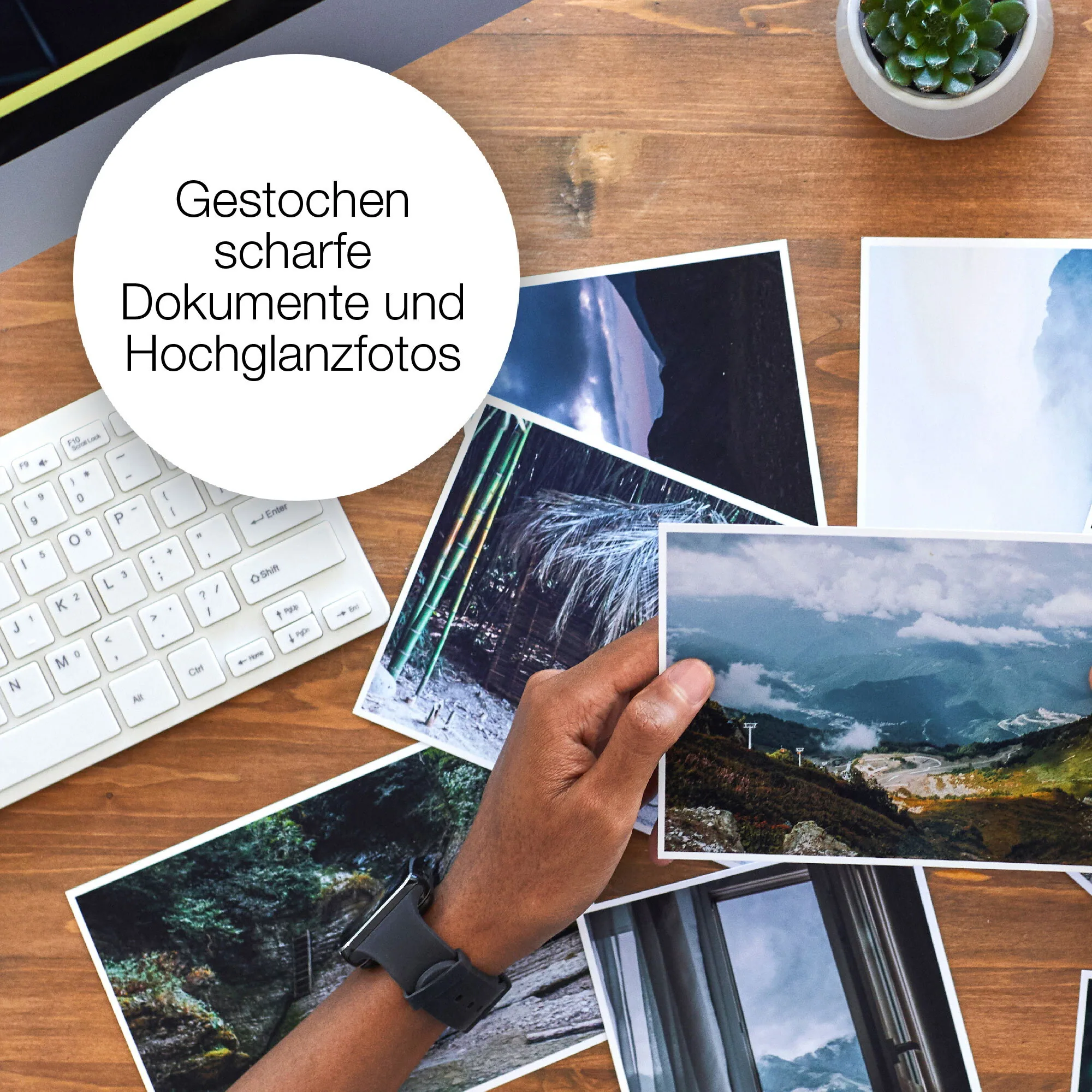 Epson Singlepack Yellow 503 Ink – Bild 4