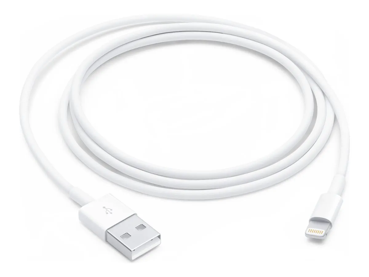 Apple Lightning auf USB Kabel (1m)